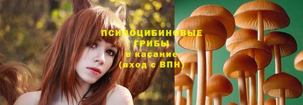сатива Богородск