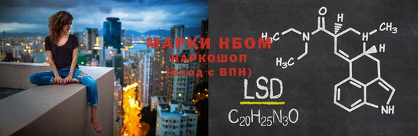 сатива Богородск
