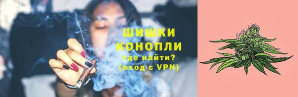 сатива Богородск