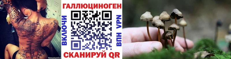 Галлюциногенные грибы Cubensis  Костерёво 